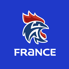 handball logo france